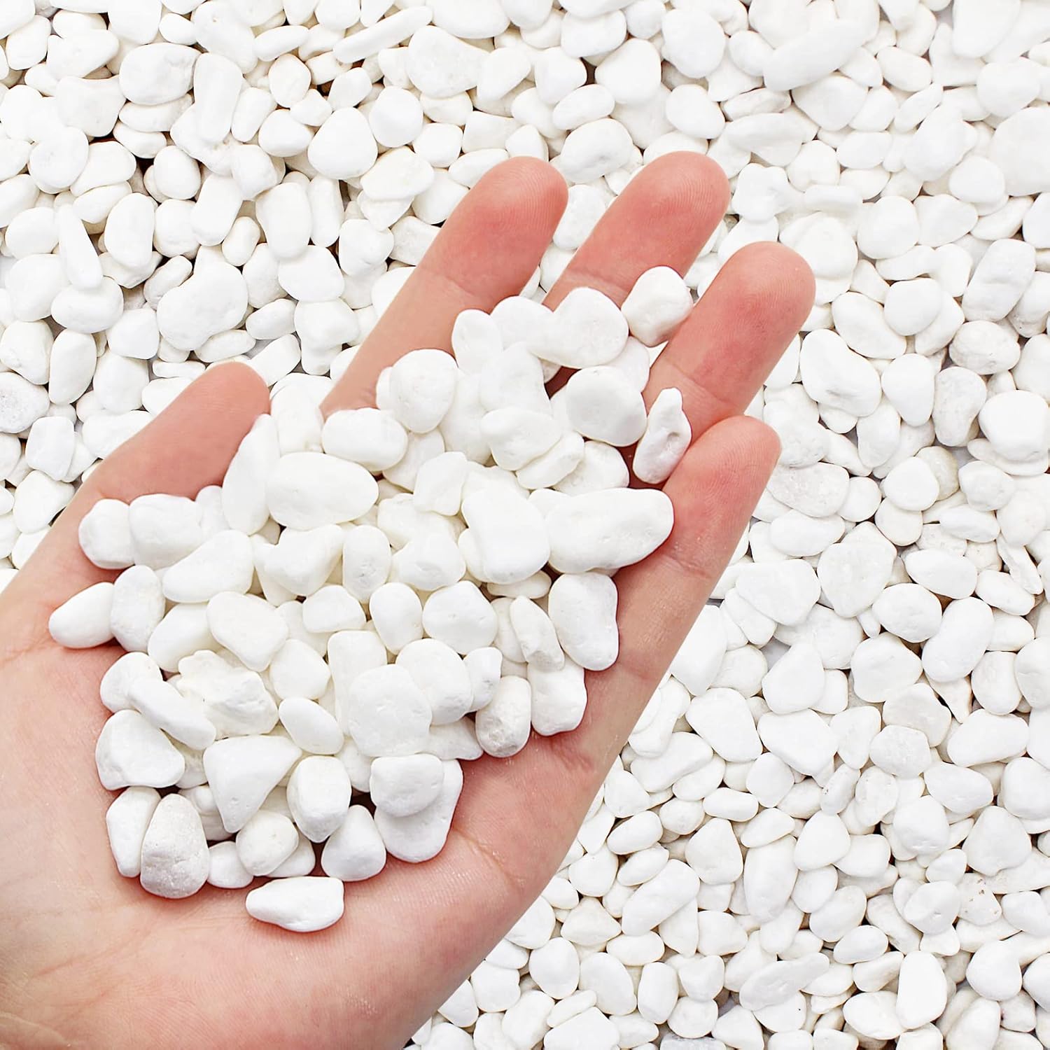 Polished Pebbles