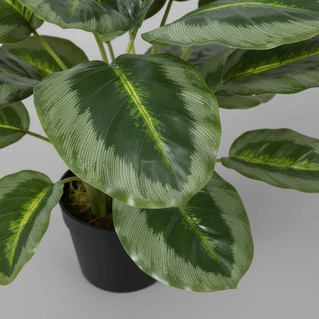 Artificial Calathea Plant