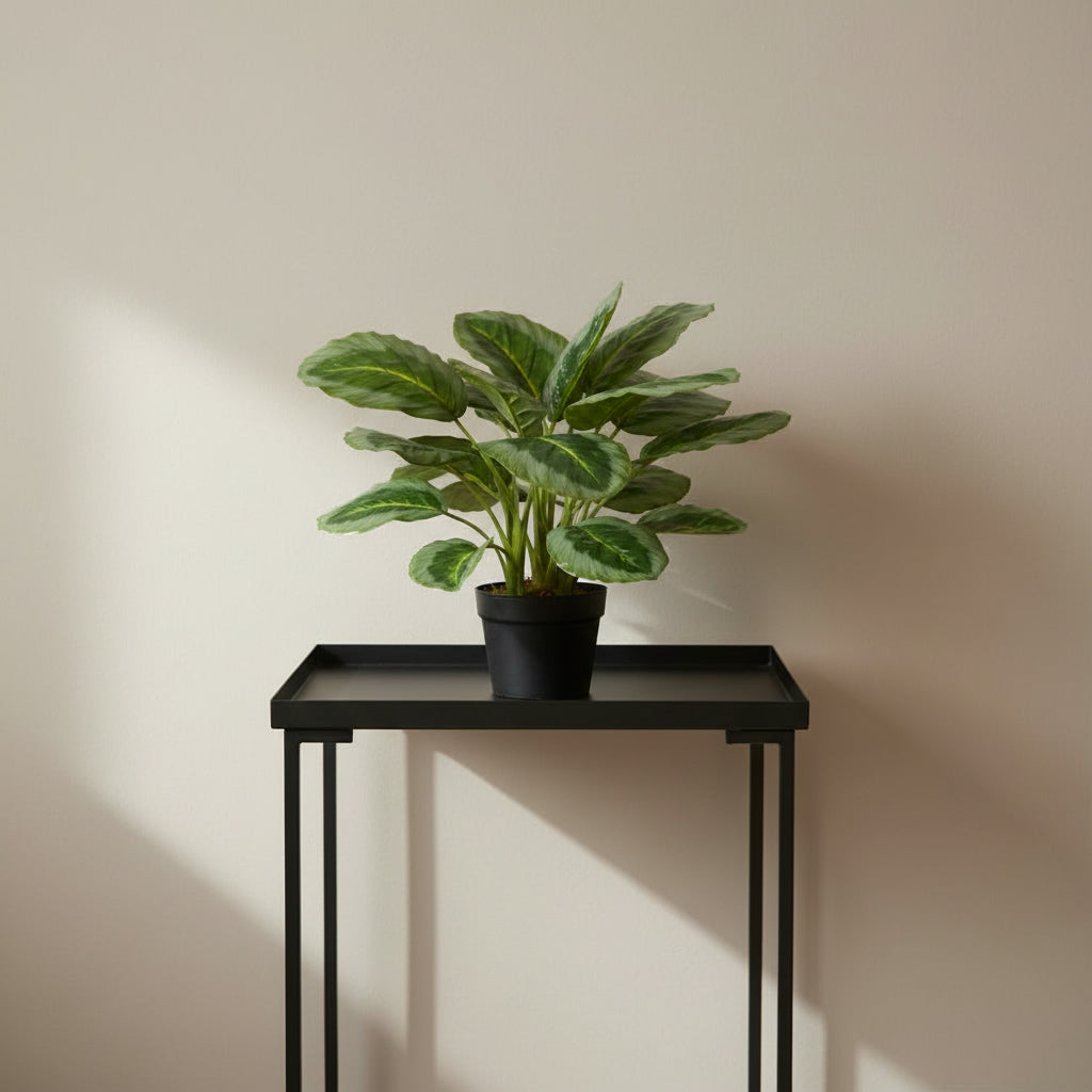 Artificial Calathea Plant