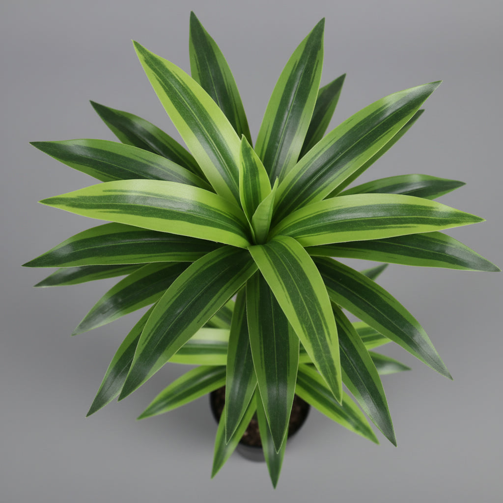 Artificial Reflexa /Lemonlime Plant