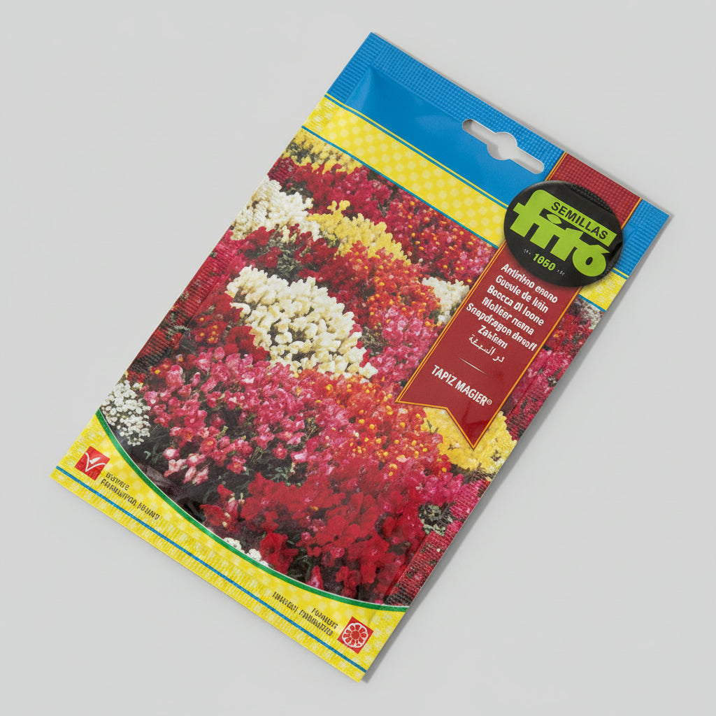 Fito Snapdragon Dwarf - THE GARDEN CENTRE