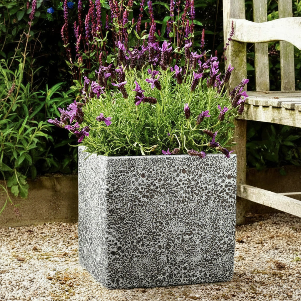 TGC Fibreclay Rustico Square Planter - THE GARDEN CENTRE