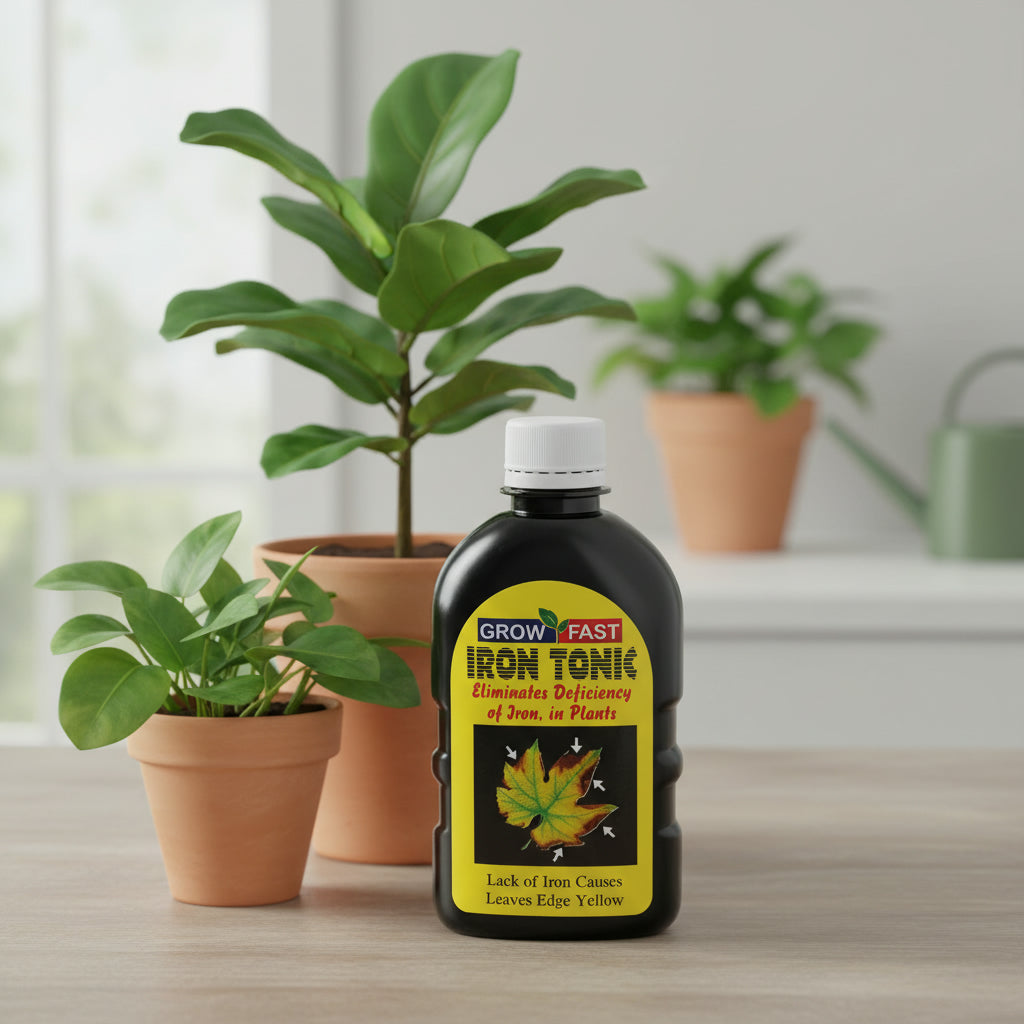 جروفاست آيرونتونيك