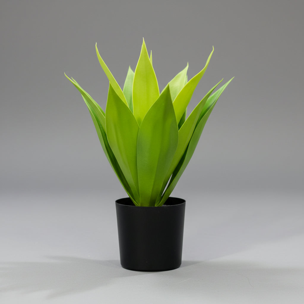Artificial Agave