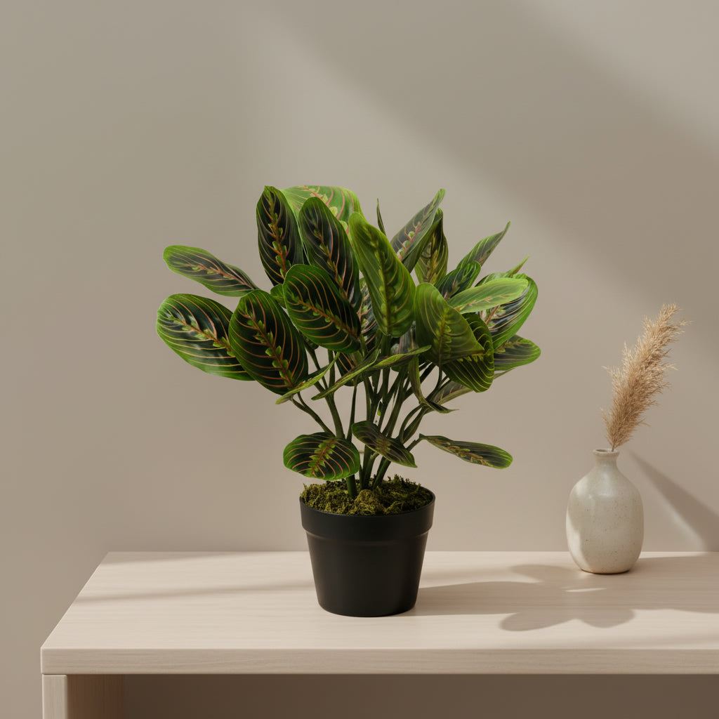 Artificial Marantha Leuconeura