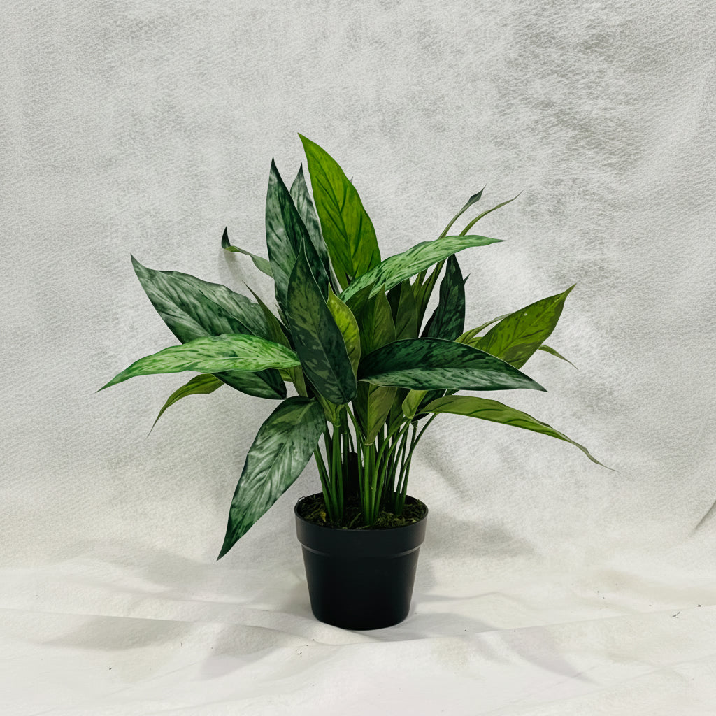 Artificial Aglaonema Varigated 50cm