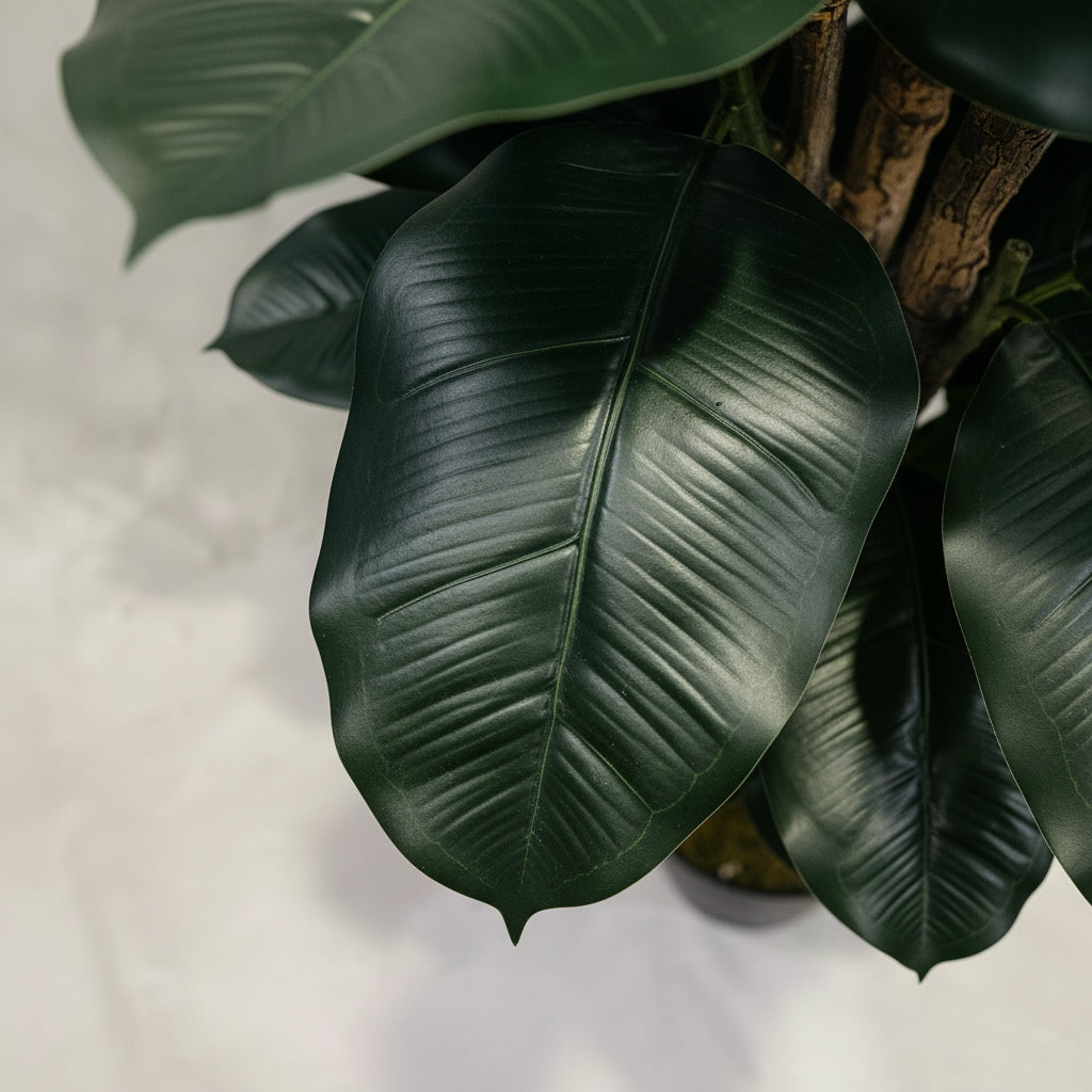 Artificial Ficus Elastica Abidjan 130cm - THE GARDEN CENTRE