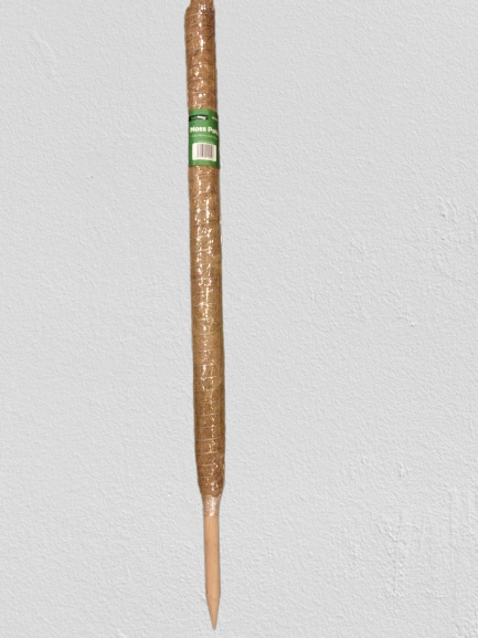 Moss Pole 90 cm&
