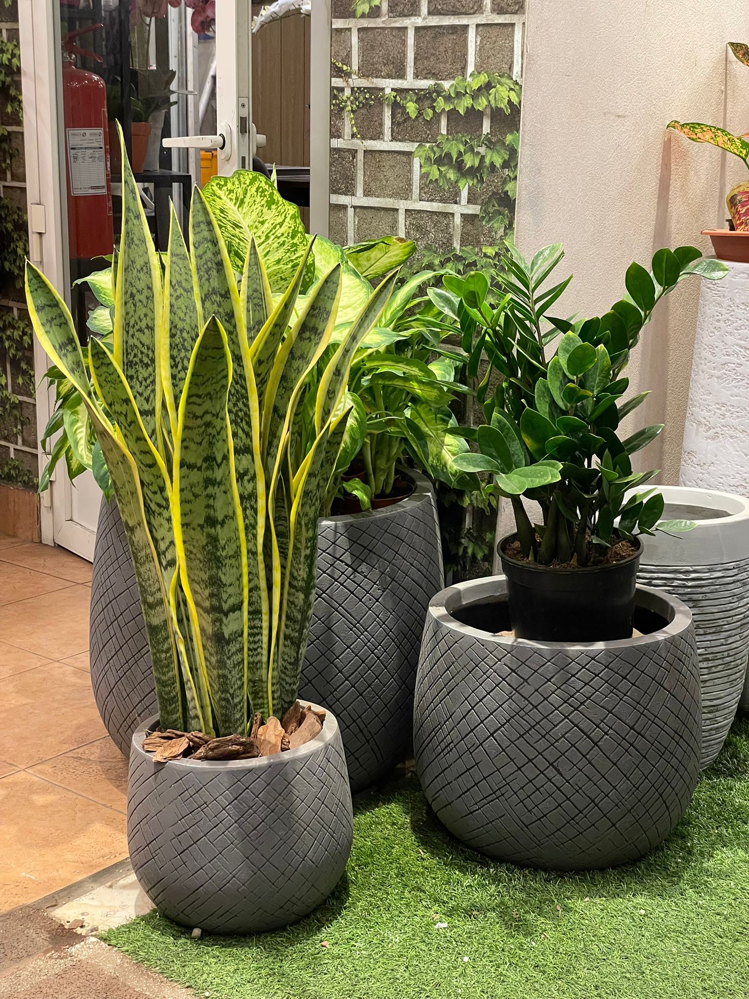 Oban Gray - THE GARDEN CENTRE