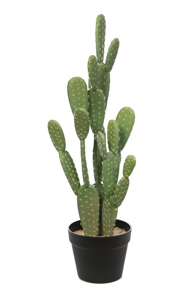 Artificial Cactus