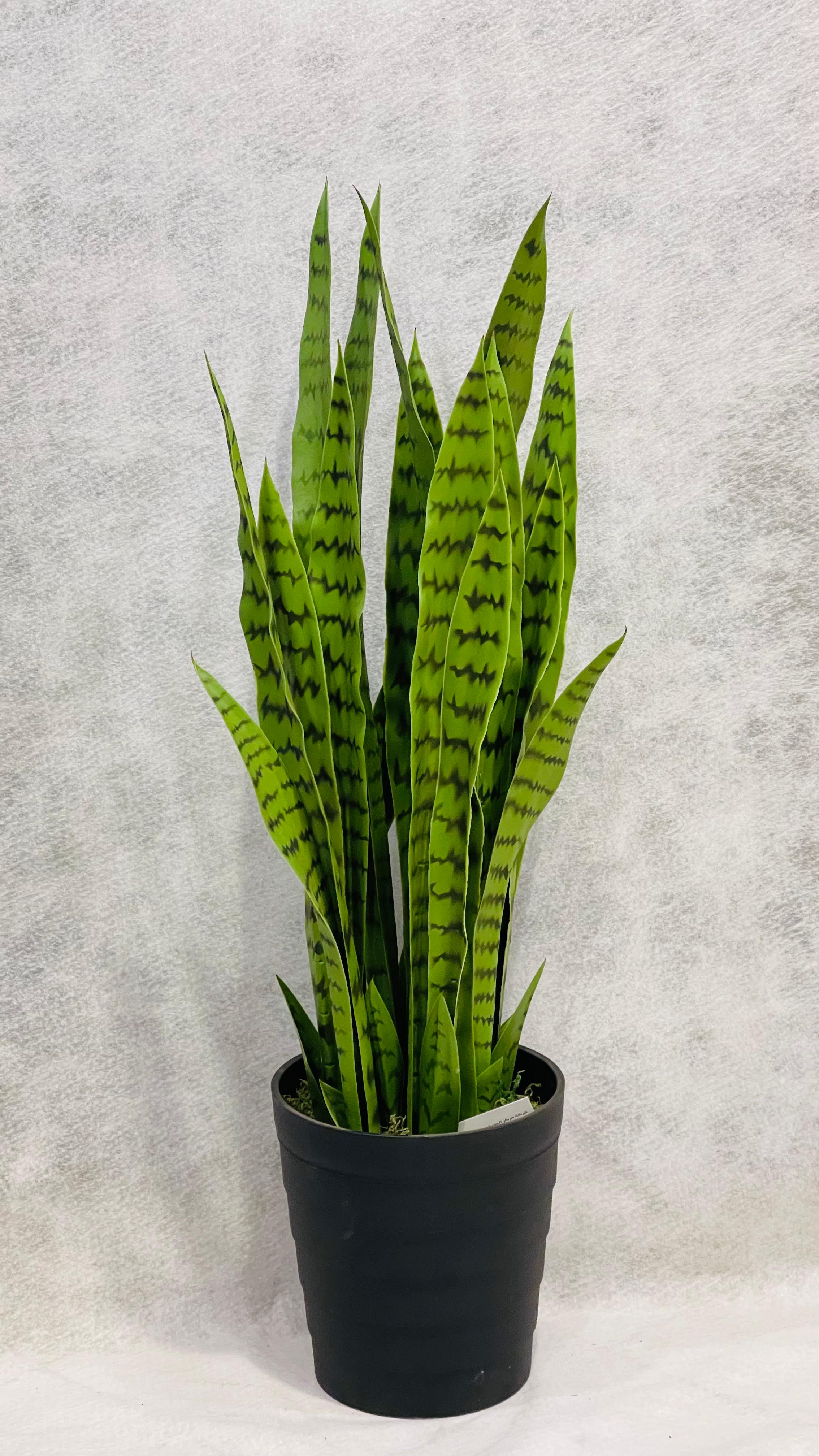 Artificial Sansaveria Green 94cm