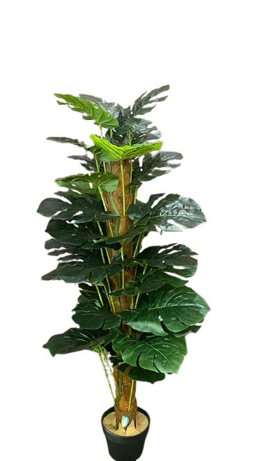 Artificial Monstera Tall - THE GARDEN CENTRE