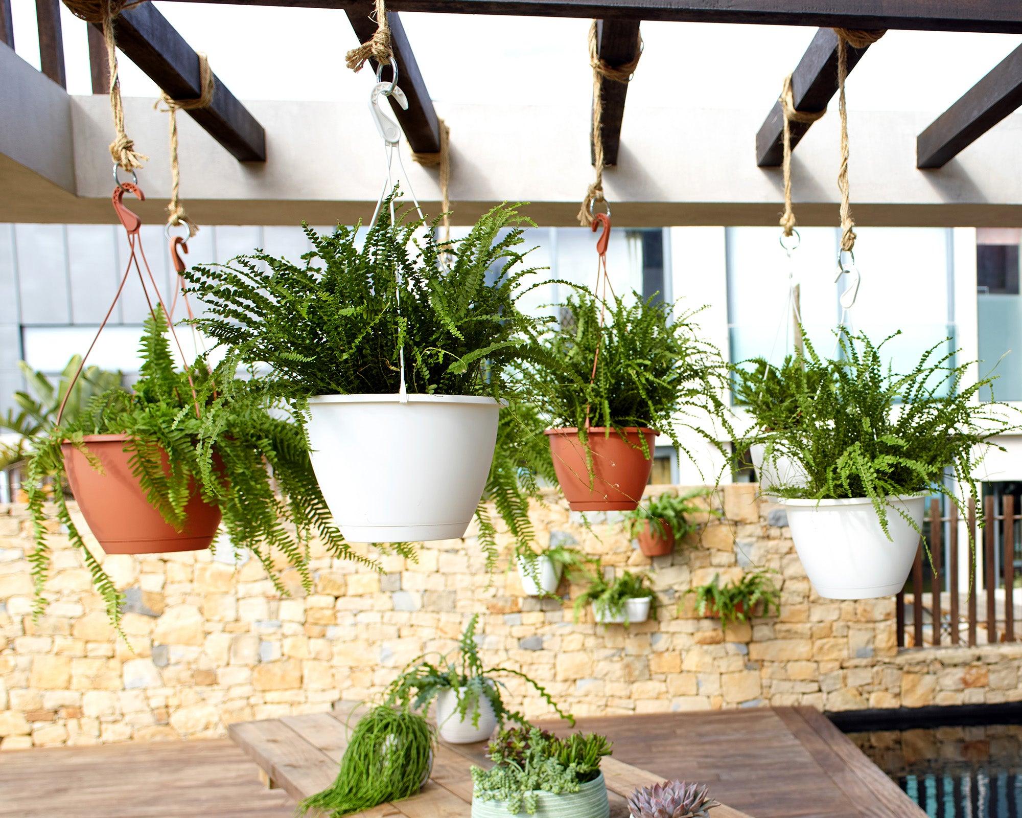 Algarve Hanging Pot - THE GARDEN CENTRE