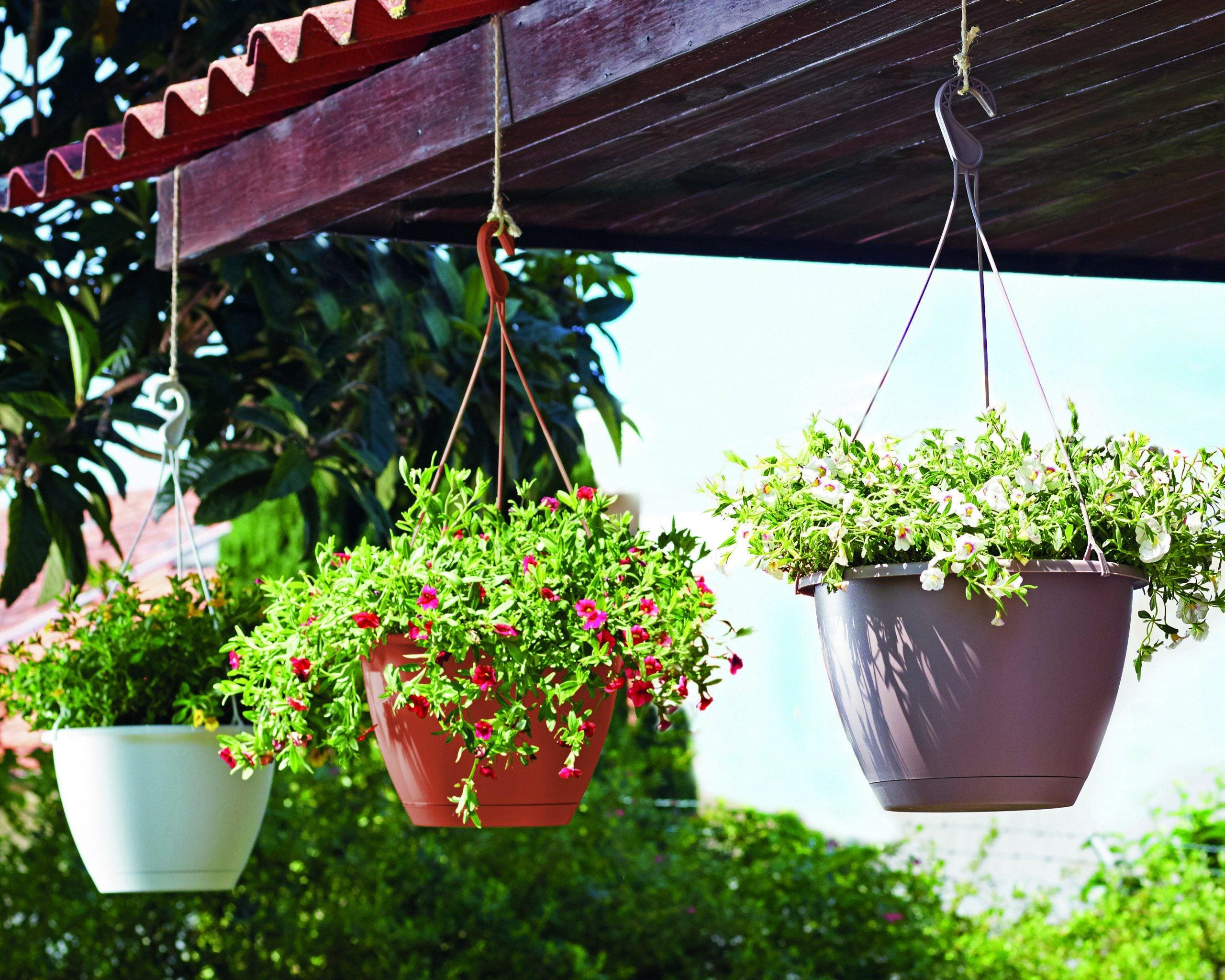 Algarve Hanging Pot - THE GARDEN CENTRE