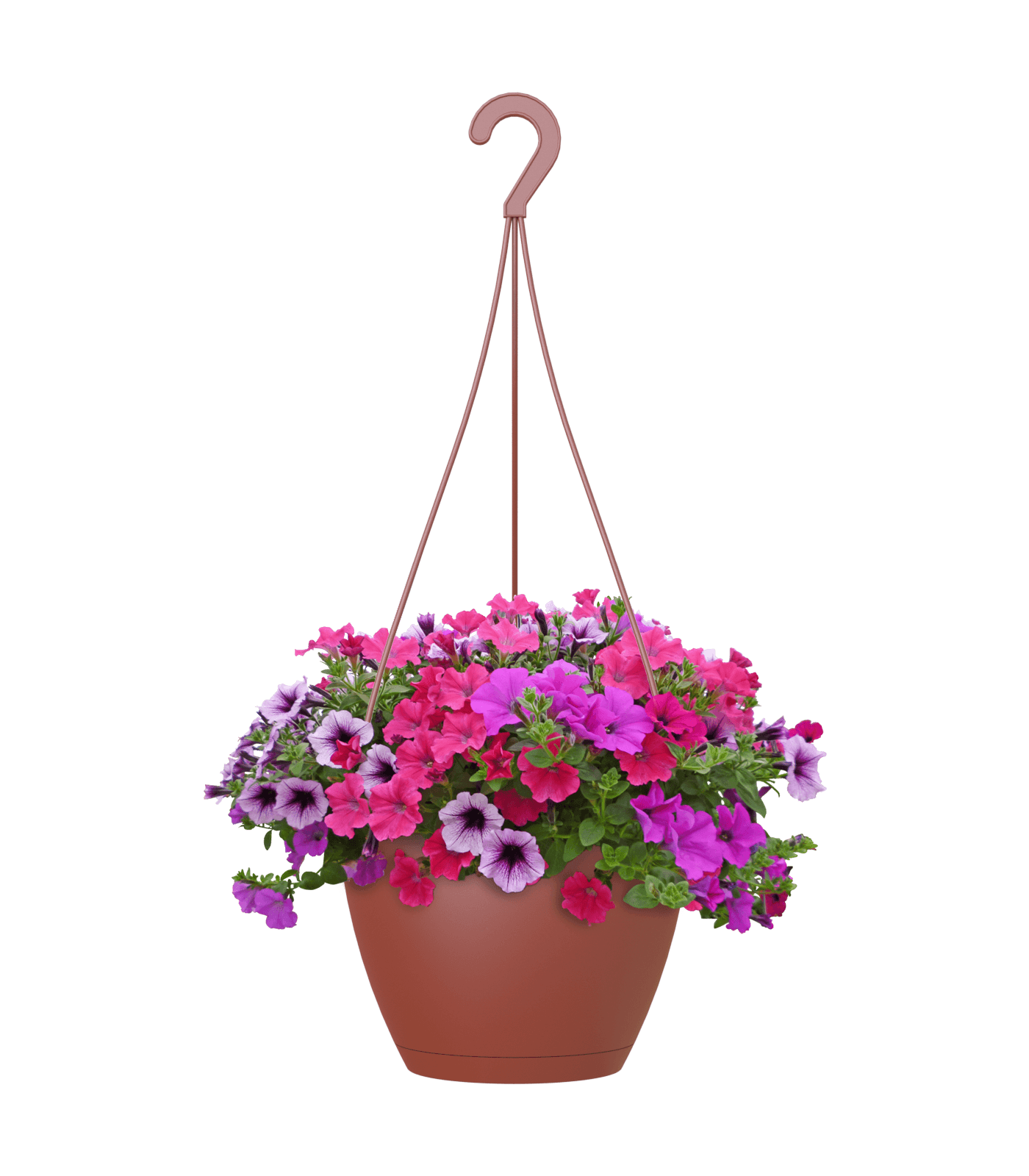 Algarve Hanging Pot - THE GARDEN CENTRE