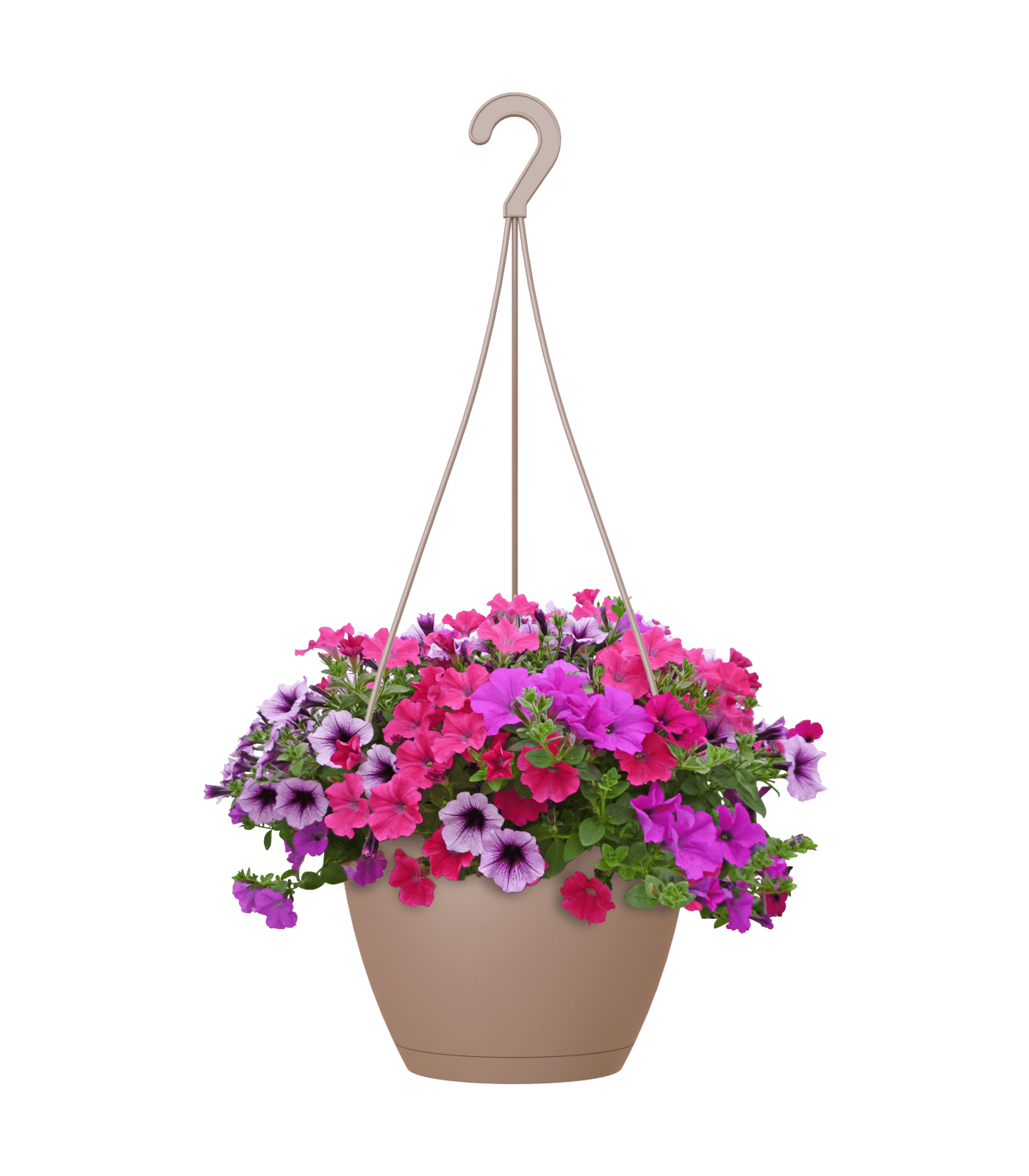 Algarve Hanging Pot - THE GARDEN CENTRE