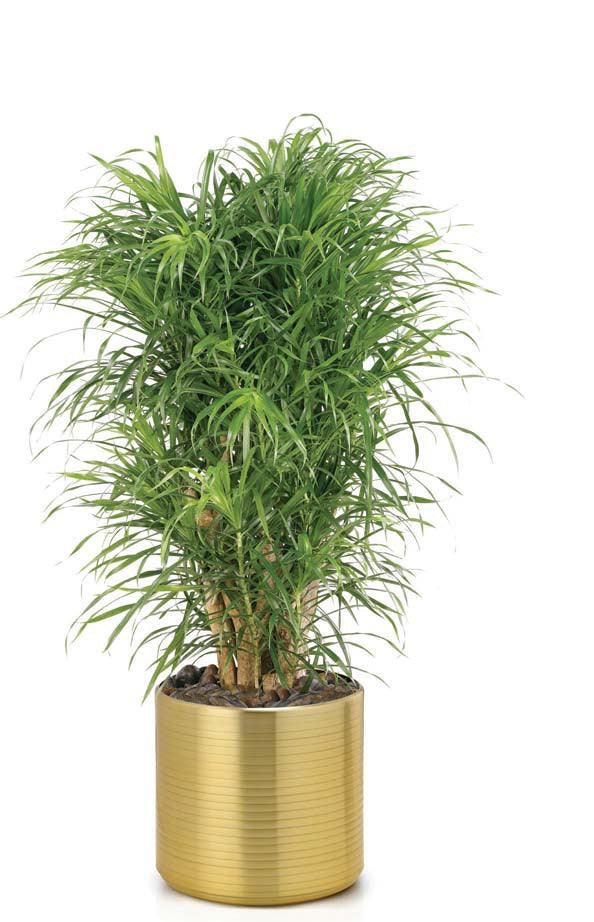 Aluminum Ribbed Planter - Full Gold - THE GARDEN CENTRE