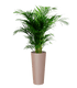Porto High pot with insert - THE GARDEN CENTRE