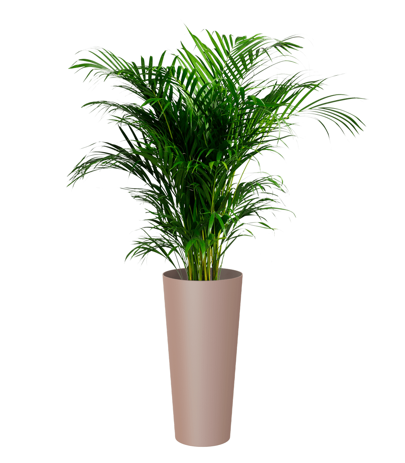 Porto High pot with insert - THE GARDEN CENTRE