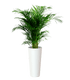 Porto High pot with insert - THE GARDEN CENTRE