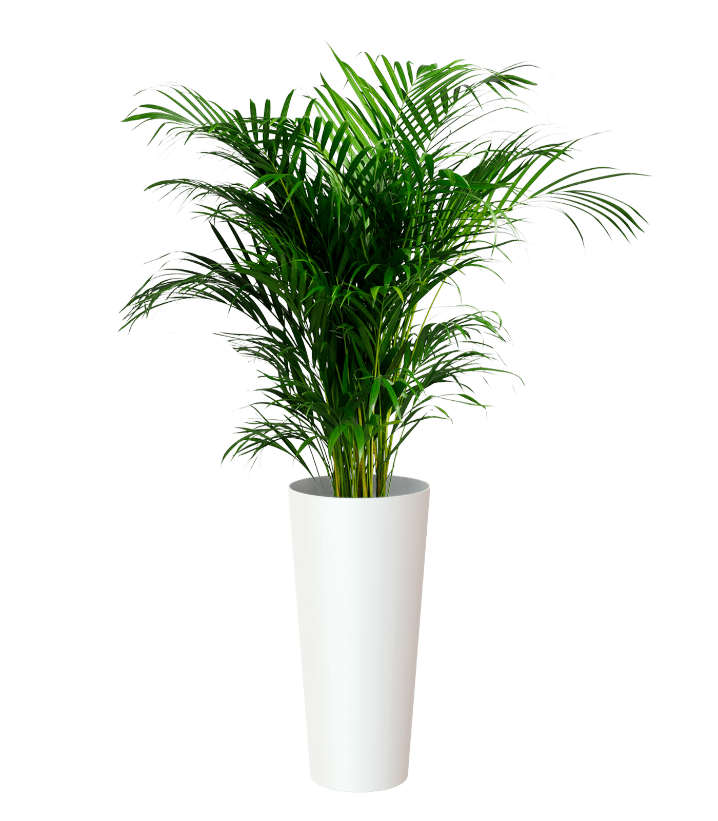 Porto High pot with insert - THE GARDEN CENTRE