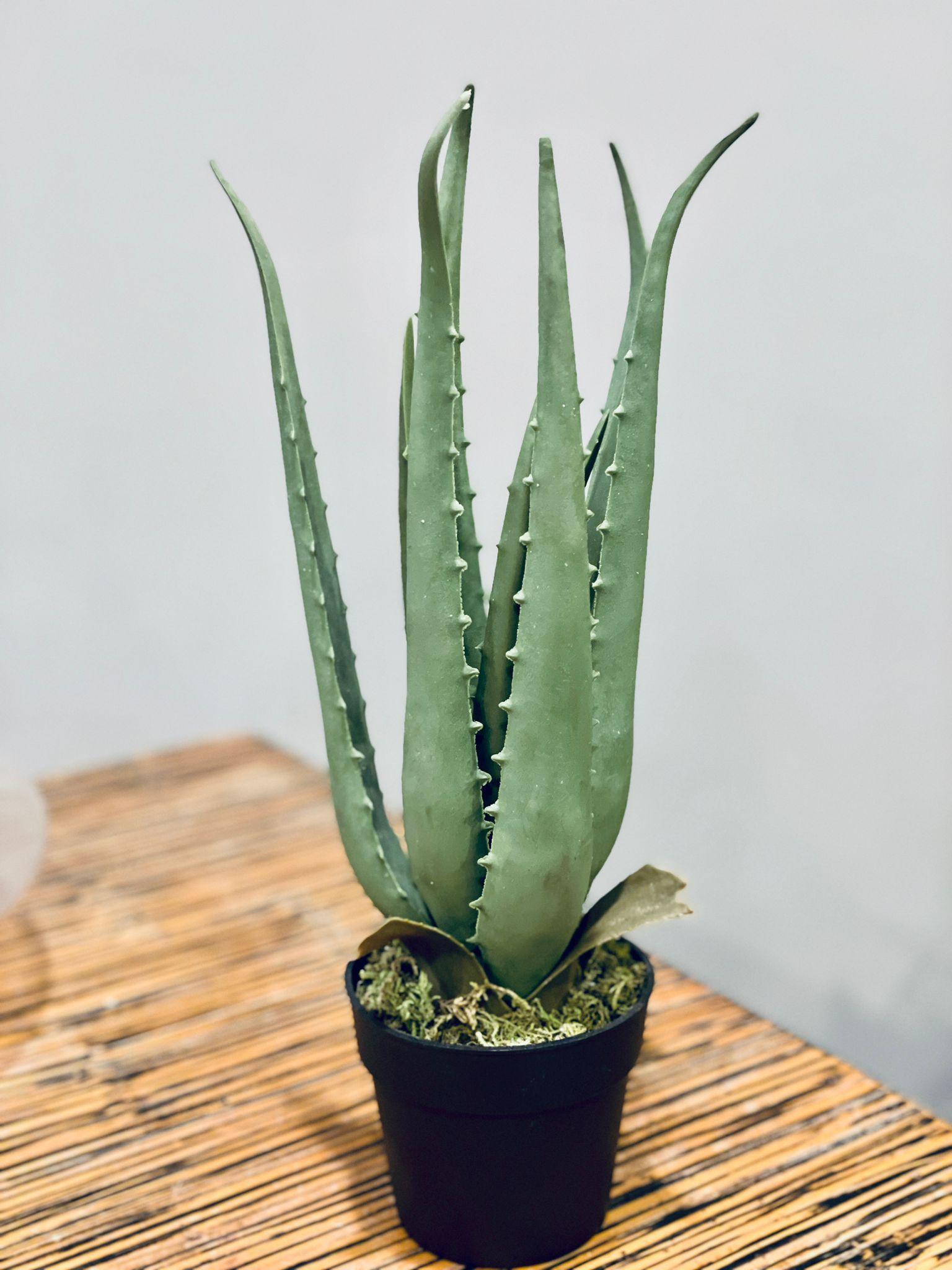 Artificial aloe vera - THE GARDEN CENTRE