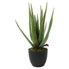 Artificial aloe vera - THE GARDEN CENTRE