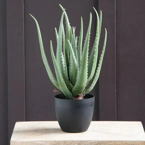 Artificial aloe vera - THE GARDEN CENTRE