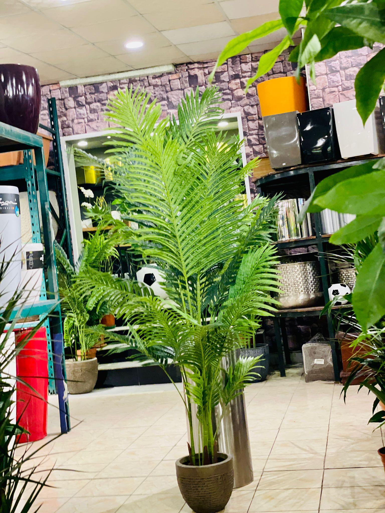 Artificial Areca Palm - THE GARDEN CENTRE