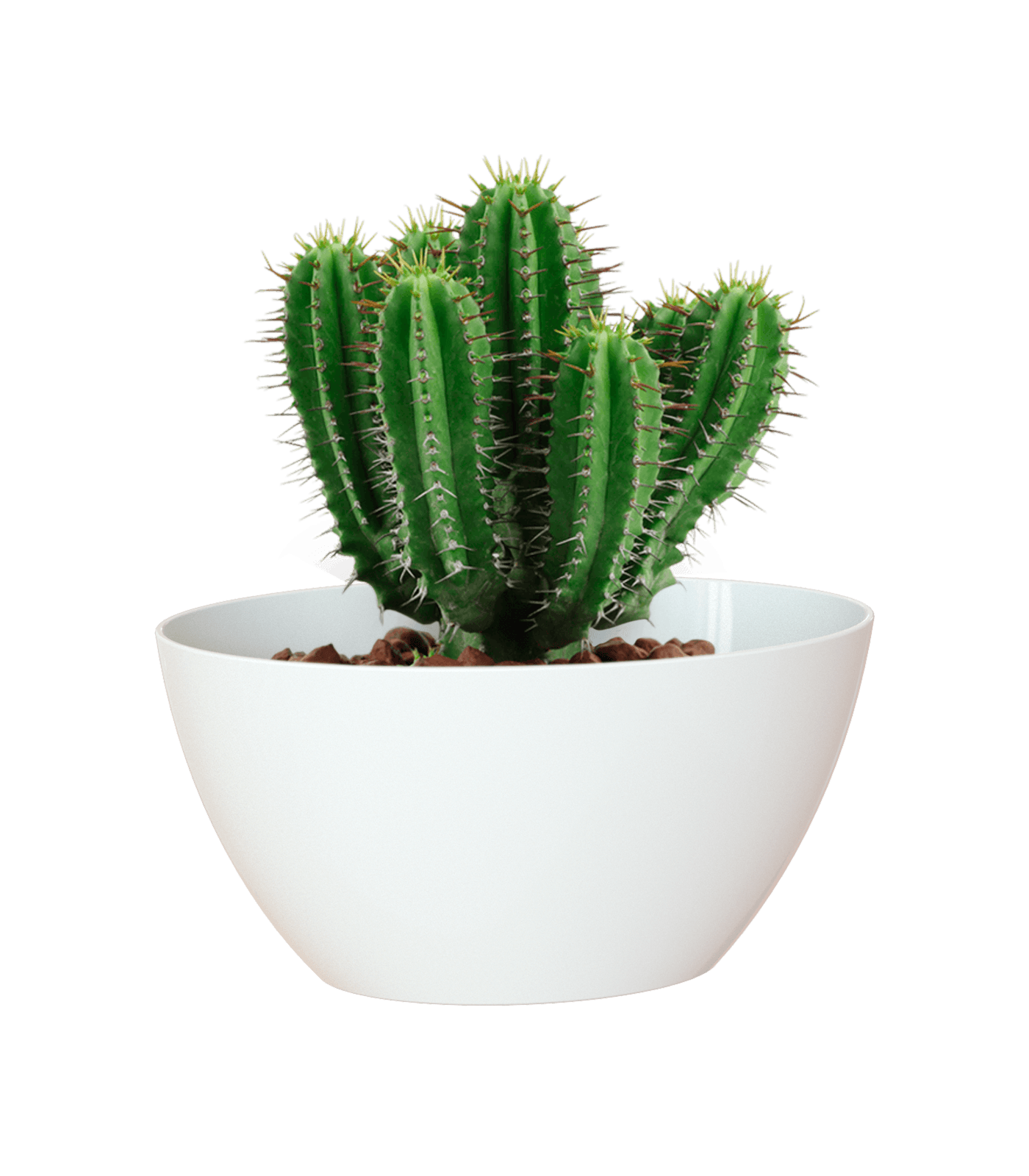 Bahia Oval Pot - THE GARDEN CENTRE