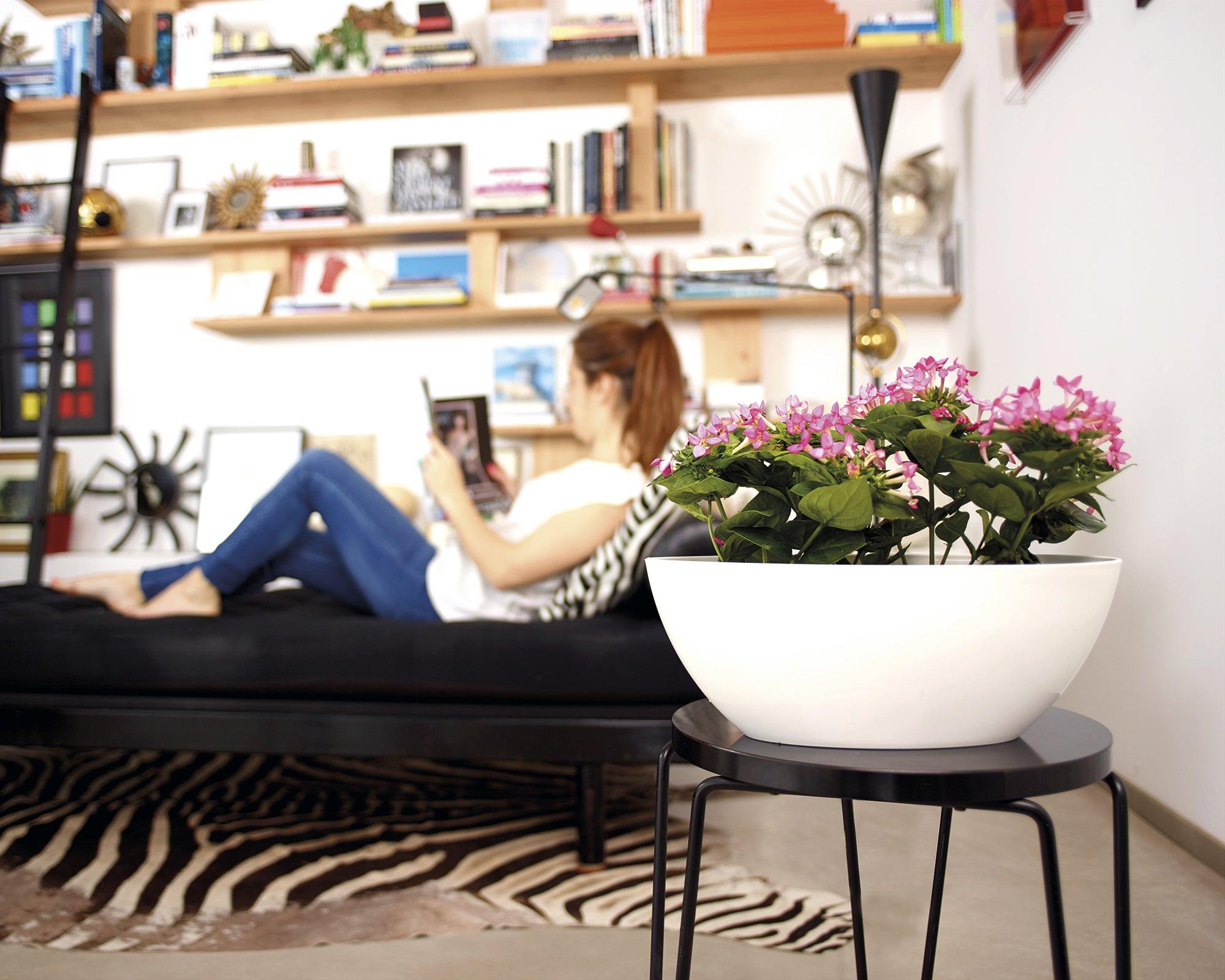 Bahia Oval Pot - THE GARDEN CENTRE
