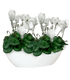 Bahia Oval Pot - THE GARDEN CENTRE