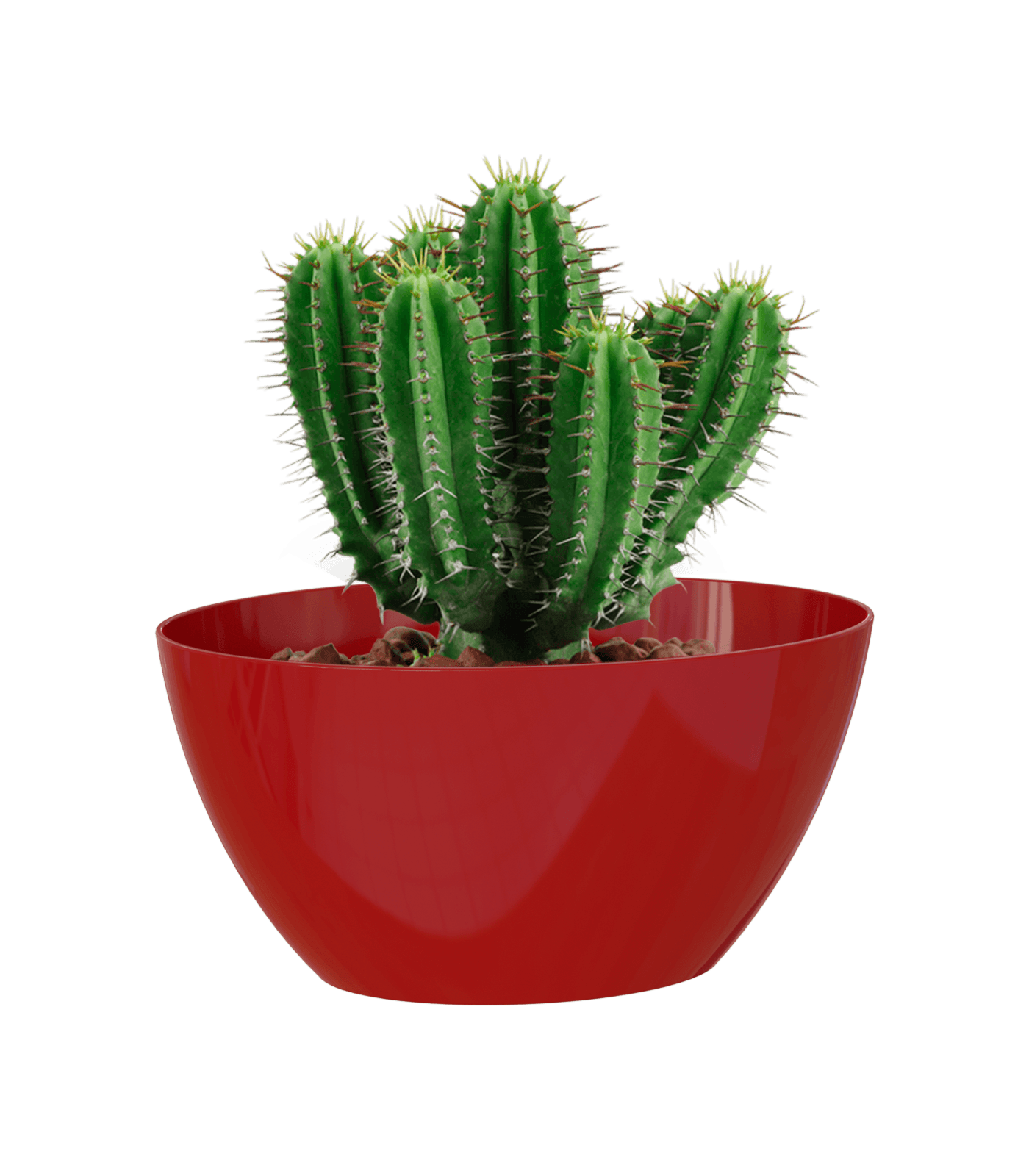 Bahia Oval Pot - THE GARDEN CENTRE