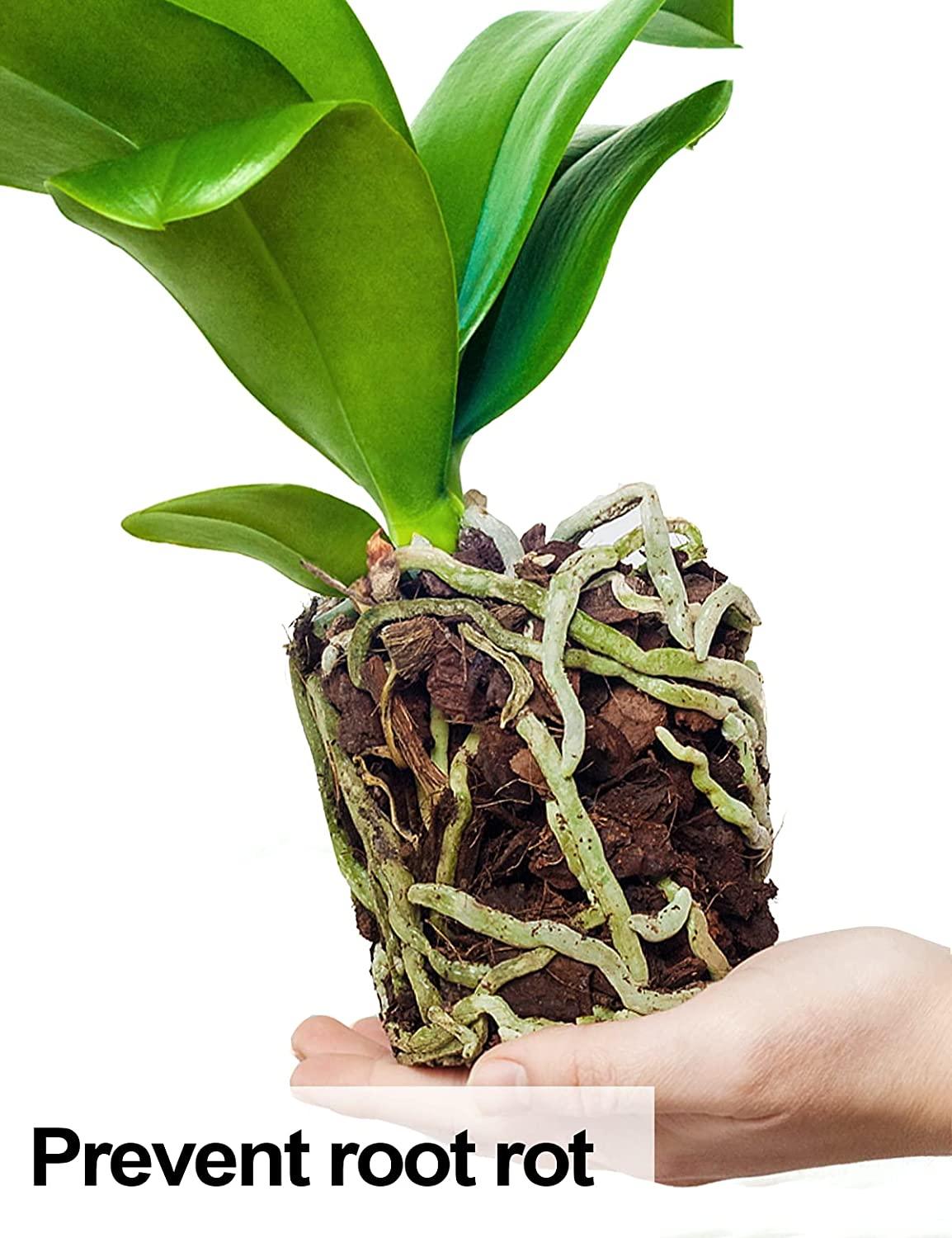 Bark Mulch - THE GARDEN CENTRE