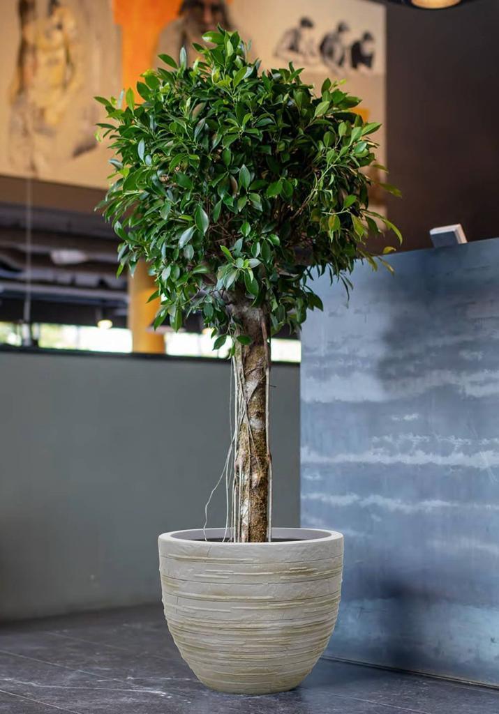 Buren Round Planter - THE GARDEN CENTRE