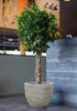 Buren Round Planter - THE GARDEN CENTRE