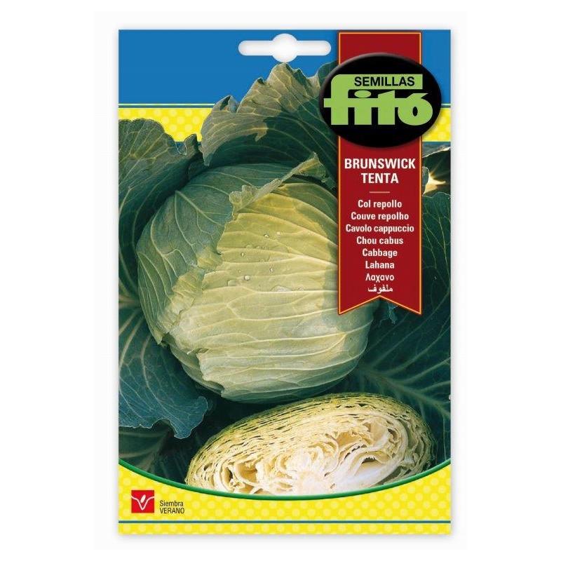 Cabbage Brunswick- Tenta - THE GARDEN CENTRE
