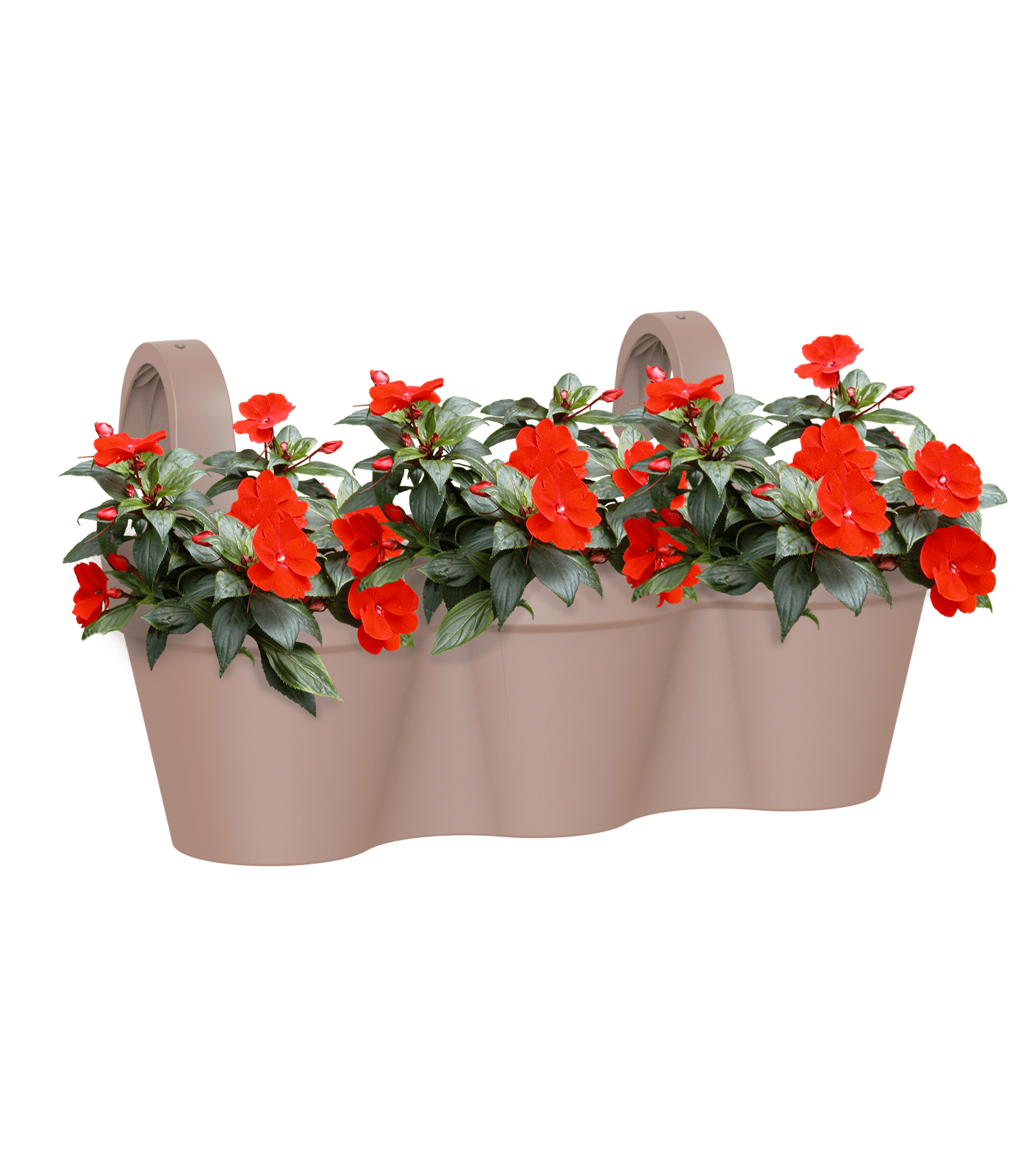 Capri balcony pot single - THE GARDEN CENTRE