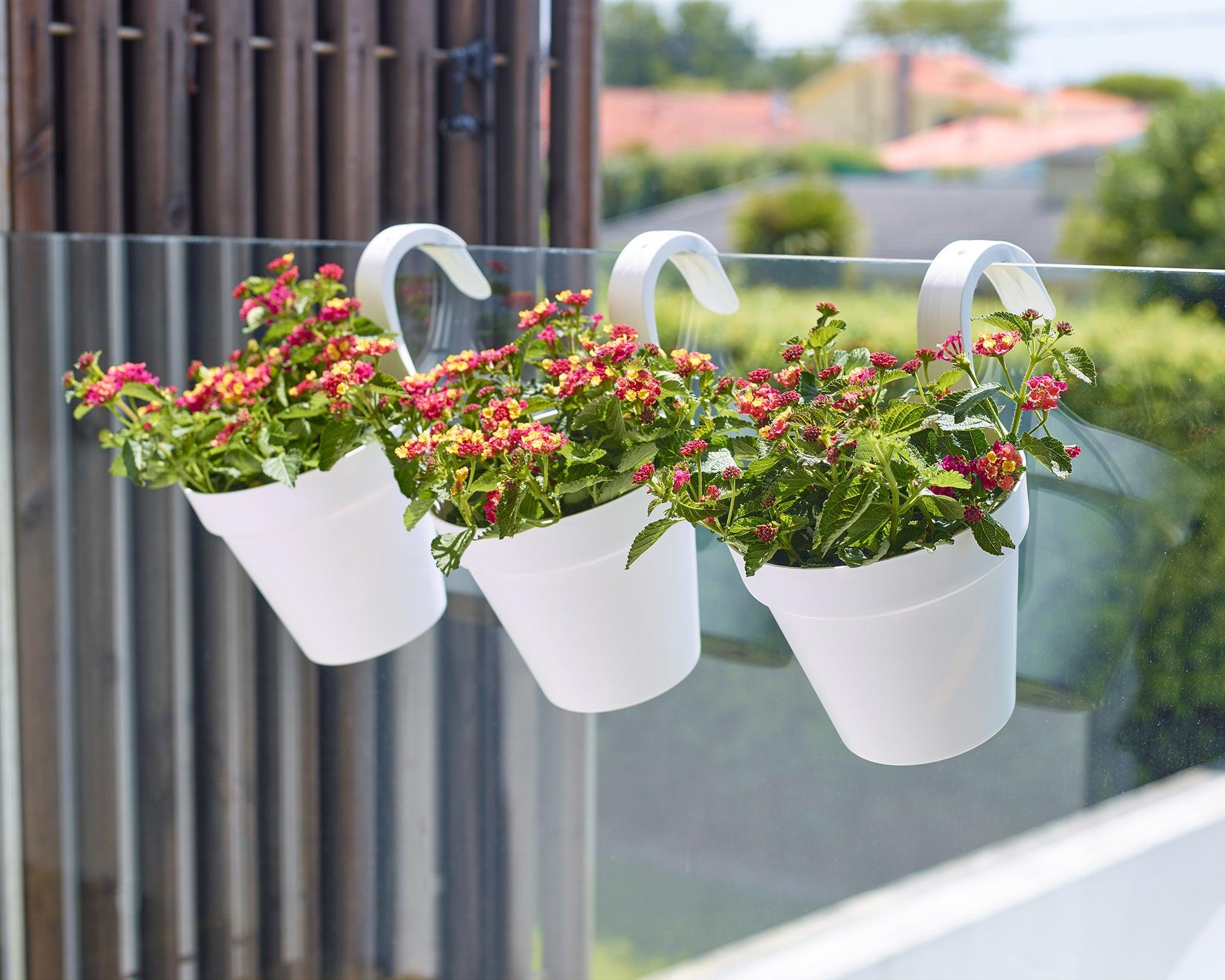 Capri balcony pot single - THE GARDEN CENTRE