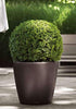 Clado Classic Pot - THE GARDEN CENTRE