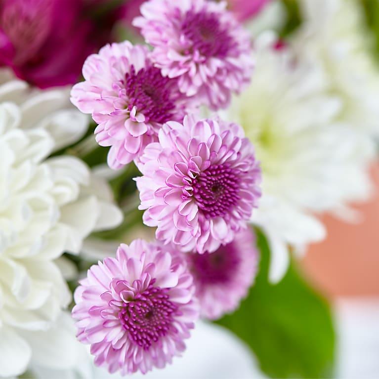 DREAMY PASTELS – A FLORIST ORIGINAL - THE GARDEN CENTRE