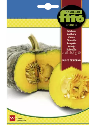 Fito Pumpkin Dulce De Horno