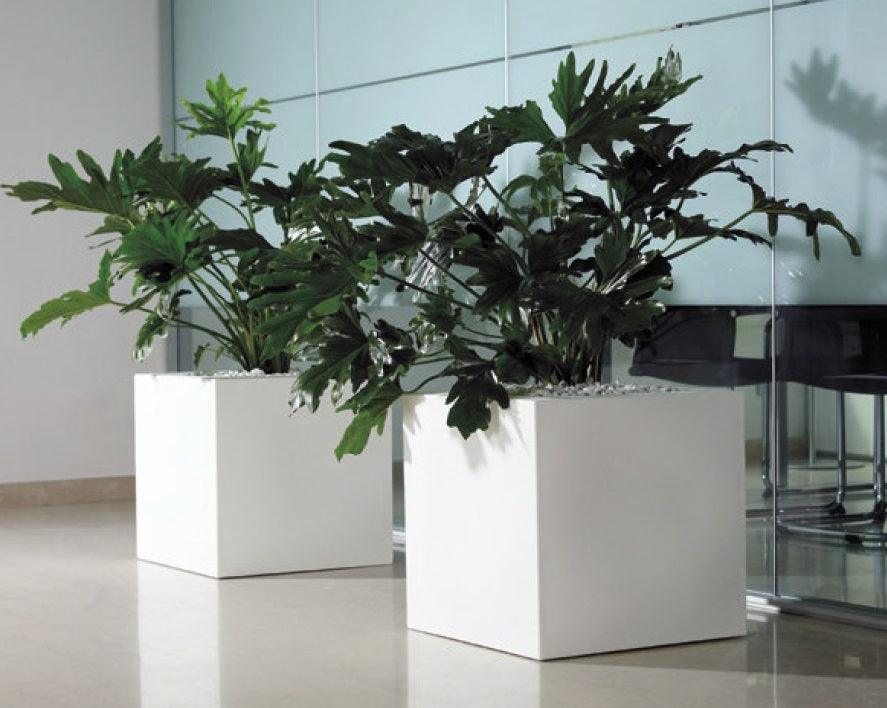 Esquire square pot - THE GARDEN CENTRE
