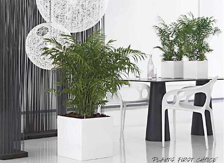 Esquire square pot - THE GARDEN CENTRE