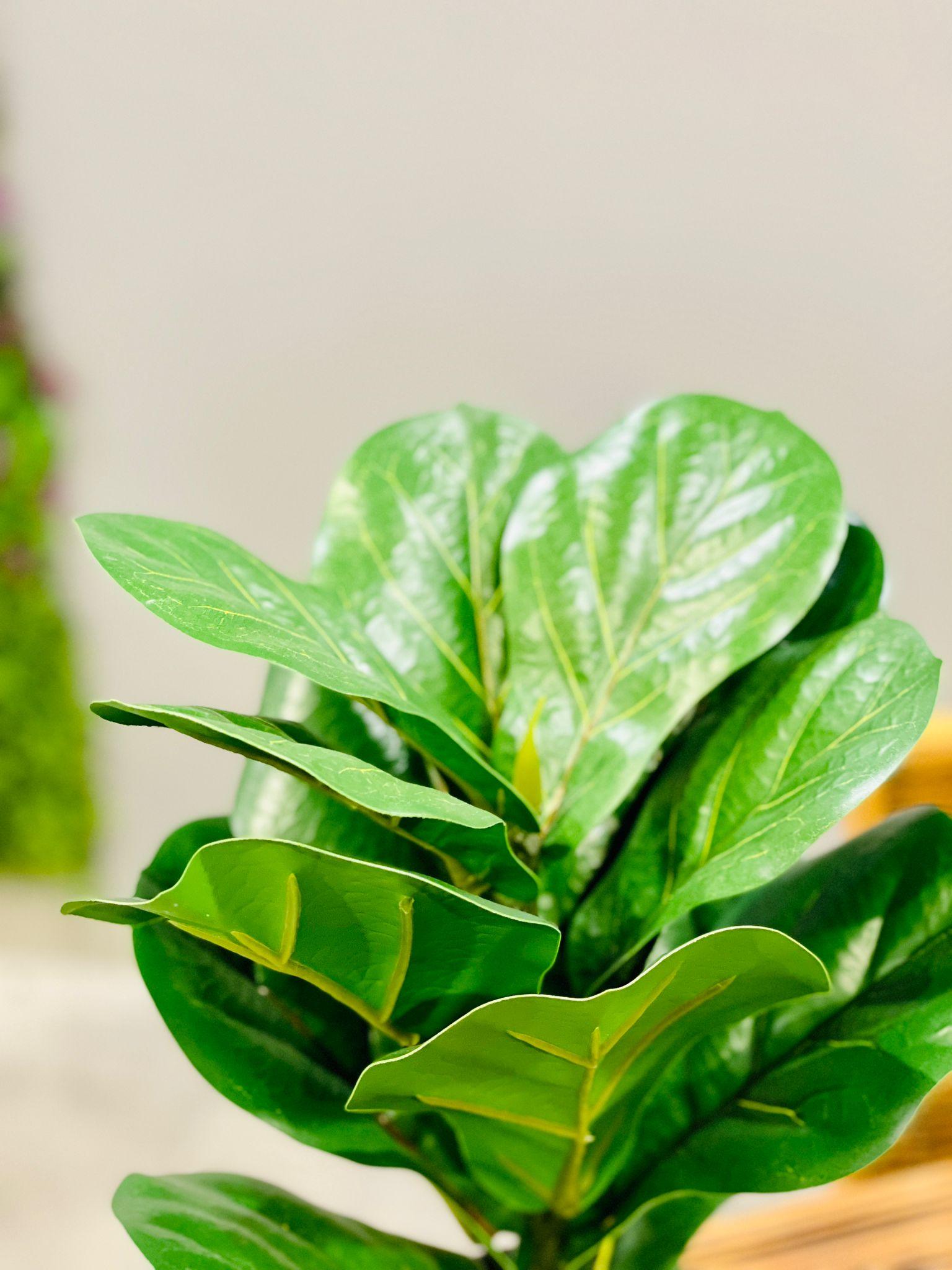 Ficus Lyrata artificial 40 cms - THE GARDEN CENTRE