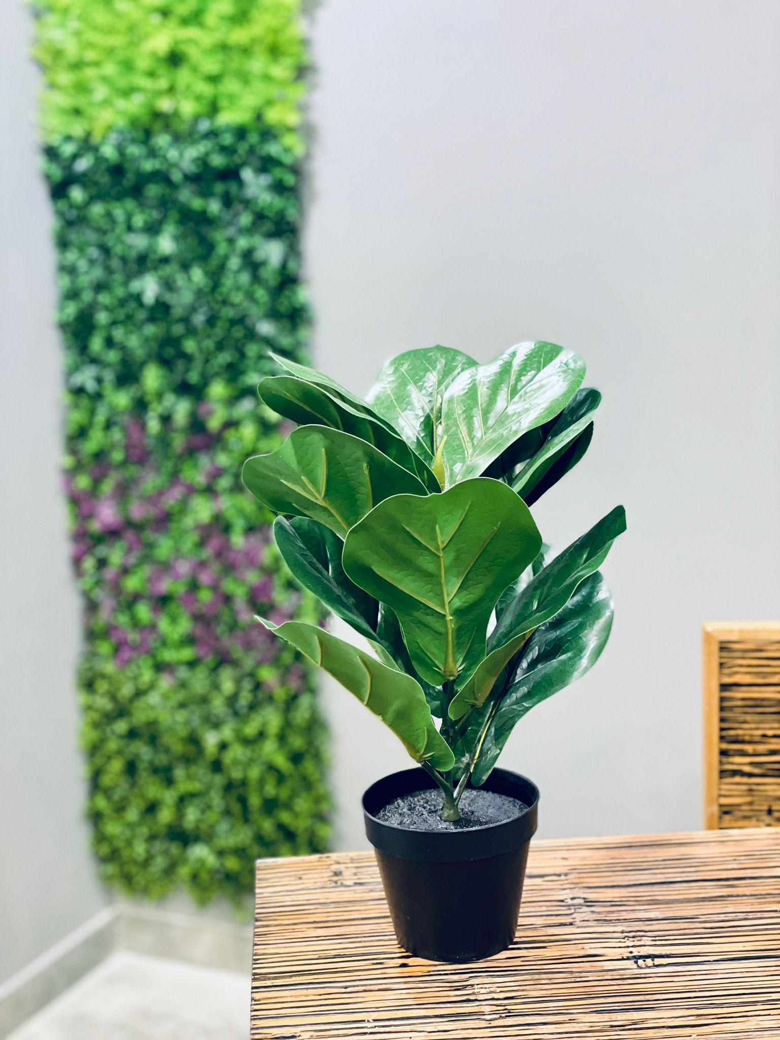 Ficus Lyrata artificial 40 cms - THE GARDEN CENTRE