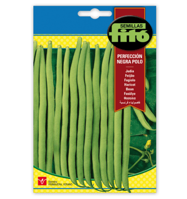 Fito Bean Perfeccion Negra- Polo - THE GARDEN CENTRE