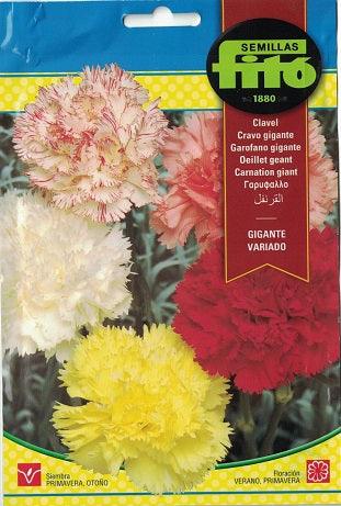 Fito Carnation giant - THE GARDEN CENTRE
