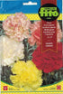Fito Carnation giant - THE GARDEN CENTRE