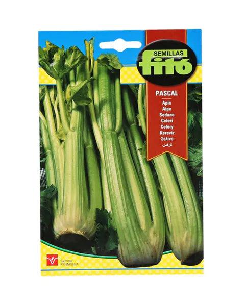 Fito Celery Pascal - THE GARDEN CENTRE